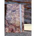 Frozen Squid avanzi ala dosidicus gigas 300-500g